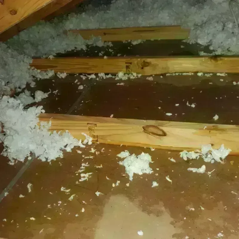 Attic Water Damage in Fulton County, PA