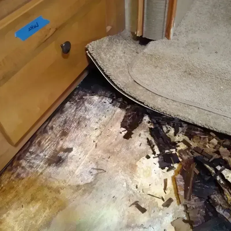 Wood Floor Water Damage in Fulton County, PA